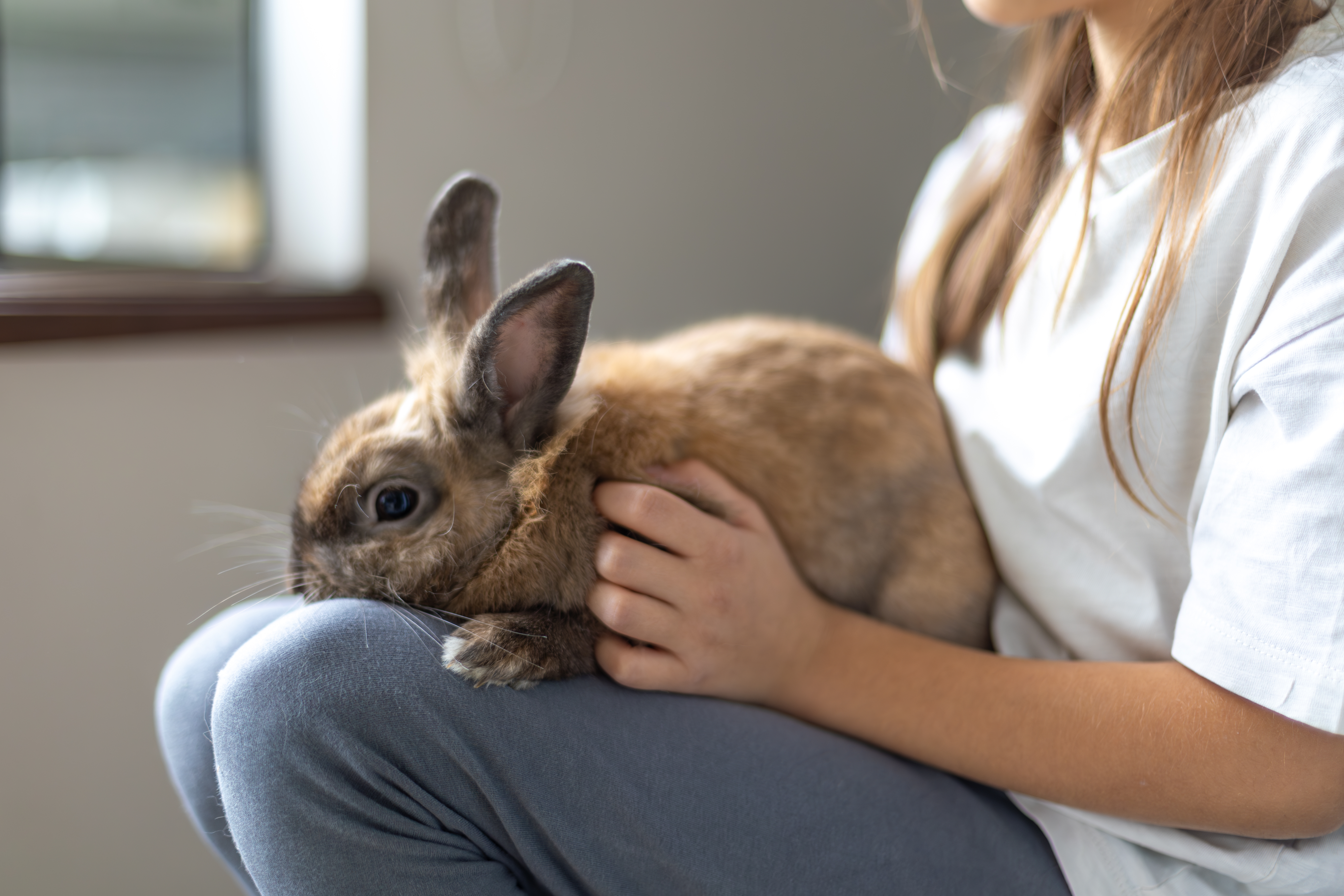 Services de psychoéducation