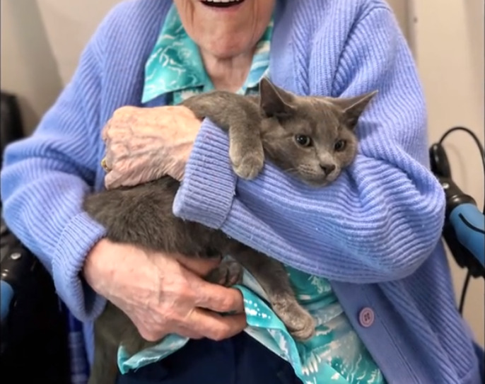 Services de zoo-animation